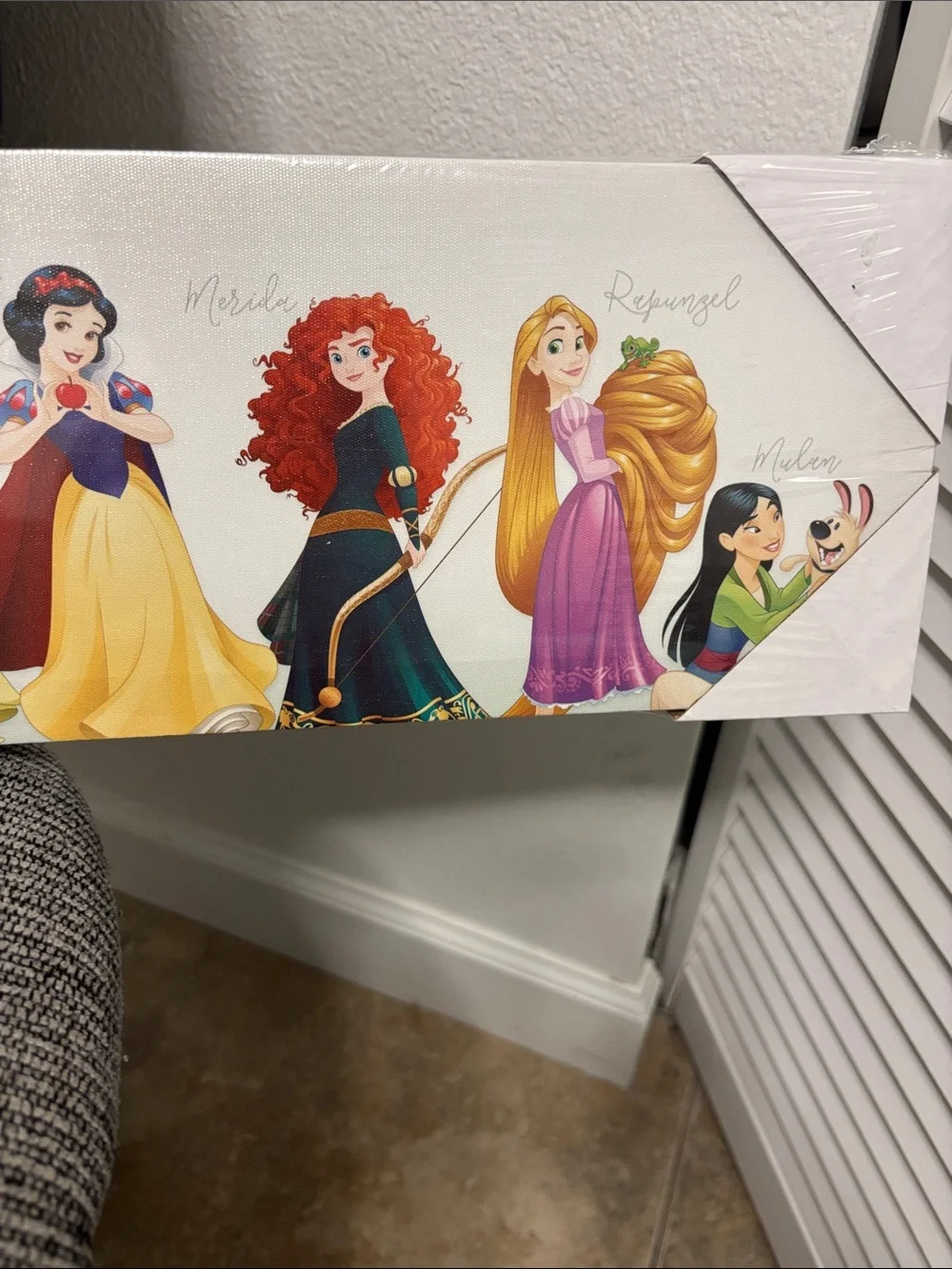 Disney Princess Canvas Panel - Pink, Yellow, Blue, Green
